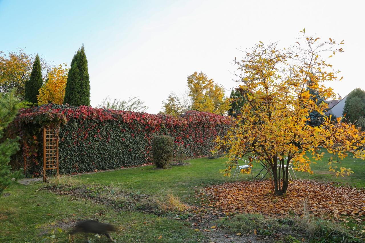 Villa Umberti Sibiu Exterior photo